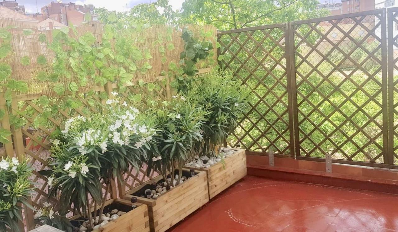Apartamento San Quirce - Centrico Y Reformado- Wifi Y Netflix Βαγιαδολίδ Εξωτερικό φωτογραφία