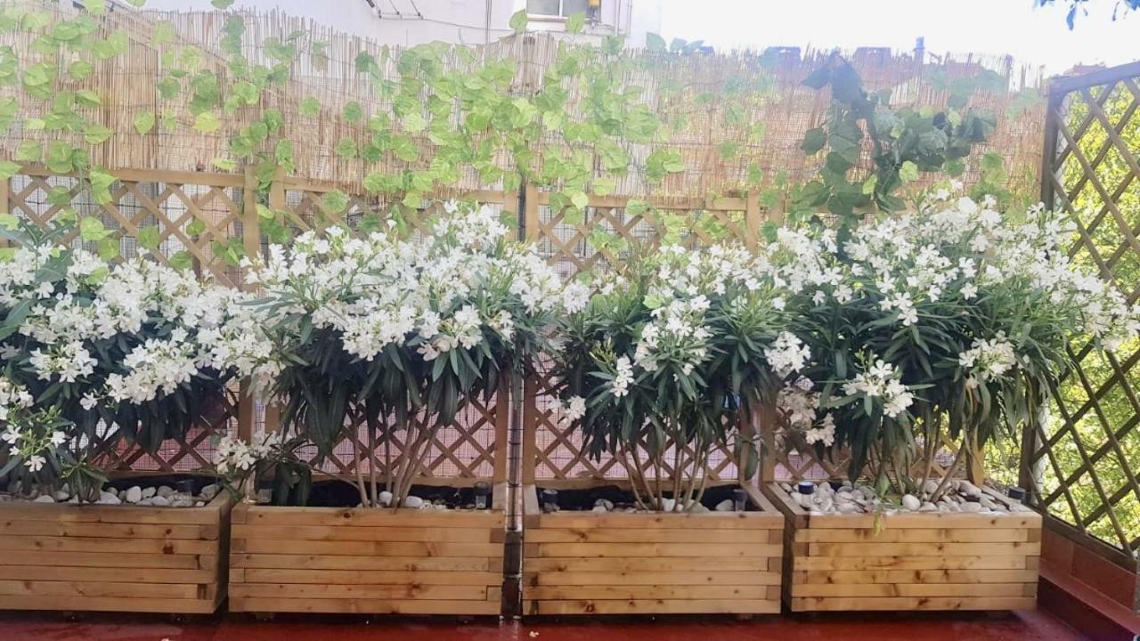 Apartamento San Quirce - Centrico Y Reformado- Wifi Y Netflix Βαγιαδολίδ Εξωτερικό φωτογραφία